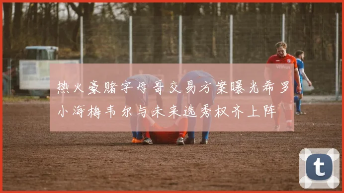 热火豪赌字母哥交易方案曝光希罗小海梅韦尔与未来选秀权齐上阵