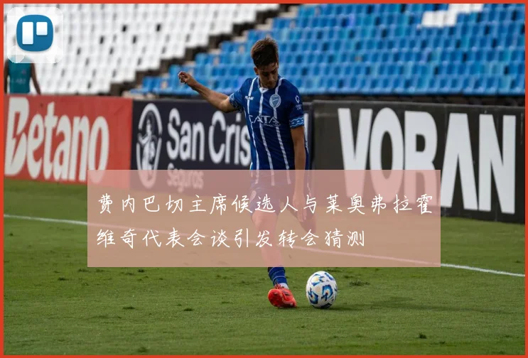 费内巴切主席候选人与莱奥弗拉霍维奇代表会谈引发转会猜测